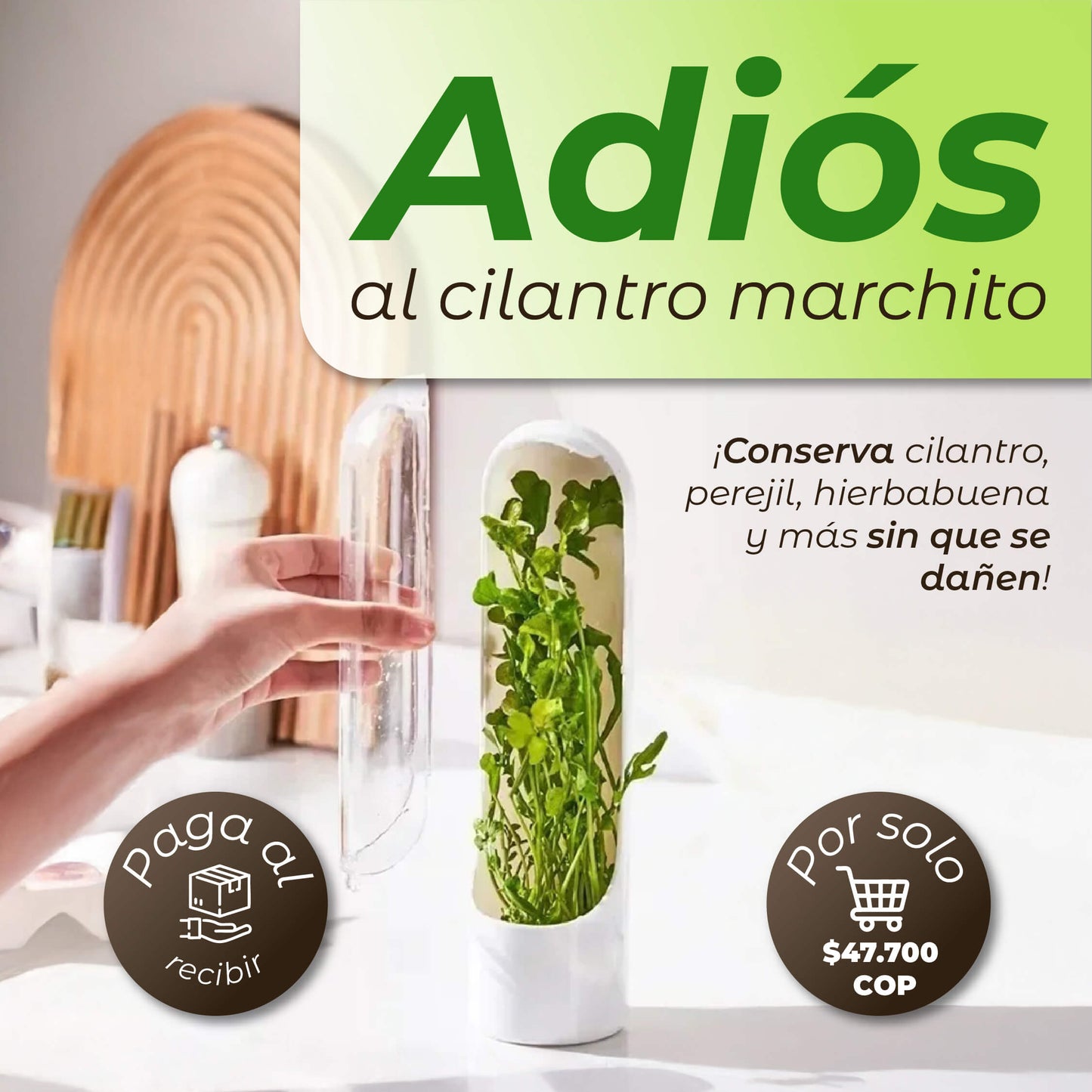 Conservadora de Verduras™
