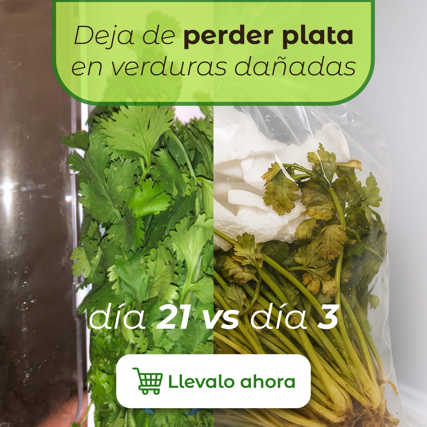 Conservadora de Verduras™