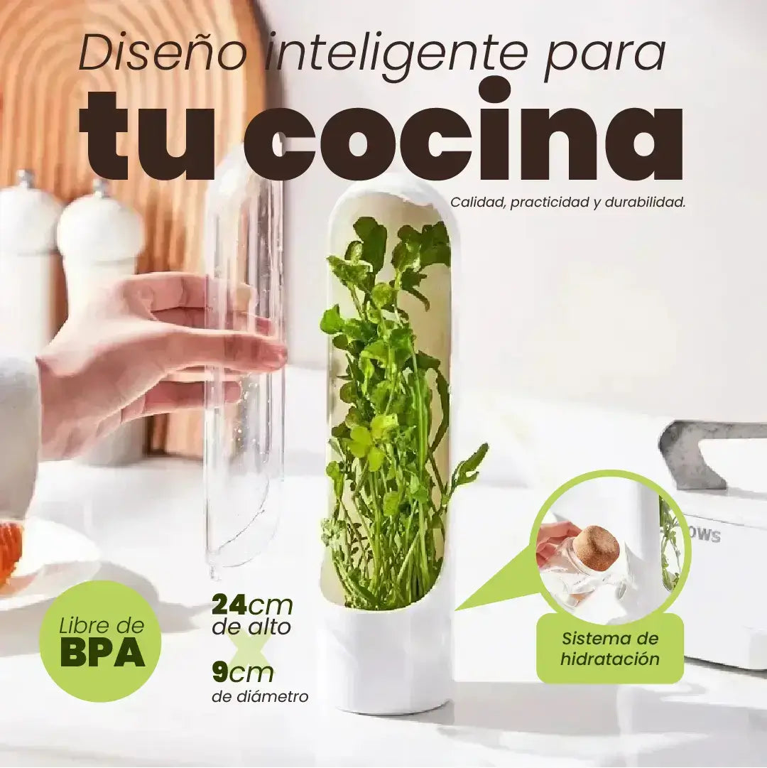 Conservador de Hierbas Frescas